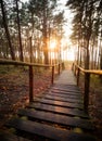 Old wooden steps of a beautiful staircase leading down to the sea in a pine forest at sunset in Lithuania, Klaipeda Royalty Free Stock Photo