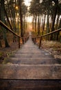 Old wooden steps of a beautiful staircase leading down to the sea in a pine forest at sunset in Lithuania, Klaipeda Royalty Free Stock Photo