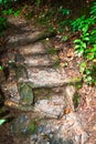 Old wooden steps built into a mountain trail. Royalty Free Stock Photo