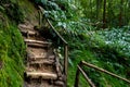 Old wooden steps in forest on empty mountain hiking trail. Hiking on a touristic path Royalty Free Stock Photo