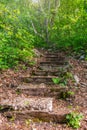 Old wooden steps on a mountain trail