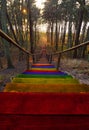 Old wooden steps , painted in the colors of the LGBT community flag, of a beautiful staircase leading down to the sea in a pine fo Royalty Free Stock Photo