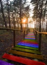 Old wooden steps , painted in the colors of the LGBT community flag, of a beautiful staircase leading down to the sea in a pine fo Royalty Free Stock Photo