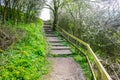 Old Wooden Steps up to towpath on Lancster Canal Royalty Free Stock Photo
