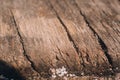 Old wooden surface, close-up, selective focus Royalty Free Stock Photo