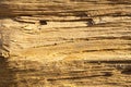 Old wooden surface Royalty Free Stock Photo