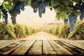 Old wooden table top with blur vineyard and grape background. Wine product tabletop country nature design. Winery display layout