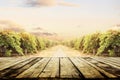 Old wooden table top with blur vineyard and grape background. Wine product tabletop country nature design. Winery display layout