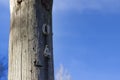 Old wooden telephone pole against blue sky with the numbers 4 and 0 nailed down Royalty Free Stock Photo