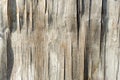 Old wooden texture, weathered obsolete rough