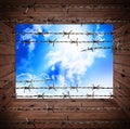 Old wooden textures with rusty barbed and sky