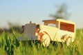 old wooden toy car in the grass outdoors in the park at sunset Royalty Free Stock Photo