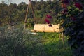 Old wooden vintage garden swing hanging from a large tree on green grass background, in golden evening sunlight