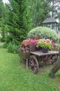 Old Wooden Vintage Trolley With Flower Pots And Boxes With Colorful Petunia Flowers And Geranium In The Garden On A Sunny Summer