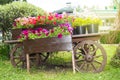 Old Wooden Vintage Trolley With Flower Pots And Boxes With Colorful Petunia Flowers And Geraniums In The Garden On A Sunny Summer