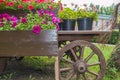 Old wooden vintage trolley with flower pots and boxes with colorful Petunia flowers and geraniums in the garden on a Sunny summer Royalty Free Stock Photo