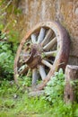 old wooden vintage wheel from the cart