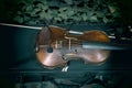 Old wooden violin with wooden bows, black background, selected focus Classical musical instrument concepts