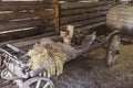 Old wooden wagon with dry ears and wooden utensils in of an shed Royalty Free Stock Photo