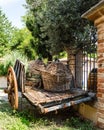 An old wooden wagon in italian countryside