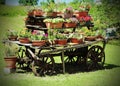 old wooden wagon with many pots of flowers Royalty Free Stock Photo