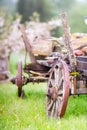 Old wooden wagon with rusty wheels on the grass in spring Royalty Free Stock Photo