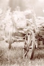 Old wooden wagon with rusty wheels on the grass in spring Royalty Free Stock Photo