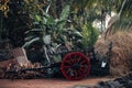 Old wooden wagon wheels in an Indian village on a background of banana leaves and hay Royalty Free Stock Photo