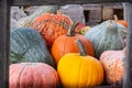 Orange Ornate Pumpkins old wooden frame