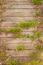 Old wooden walkway overgrown with green grass Royalty Free Stock Photo