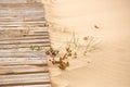 Old wooden walkway sprinkled with fine sand and overgrown with grass on the beach. Royalty Free Stock Photo