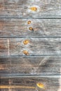 Old wooden wall. Damaged boards Royalty Free Stock Photo