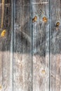 Old wooden wall. Damaged boards Royalty Free Stock Photo