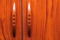Old wooden wardrobe doors Royalty Free Stock Photo
