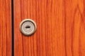 Old wooden wardrobe doors Royalty Free Stock Photo