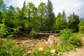 The old wooden weak bridge over small river in mountain forest Royalty Free Stock Photo