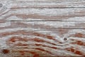 Old wooden weathered board Royalty Free Stock Photo