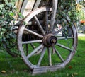 Old wooden wheel from horse cart Royalty Free Stock Photo