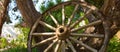 The old wooden wheel and tree. Royalty Free Stock Photo