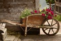 Old Wooden Wheelbarrow with Flowers