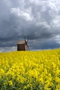 Old wooden windmill in rapeseed field somwhere in Poland Royalty Free Stock Photo