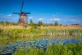 Old wooden windmill in the reedy, Kinderdijk, Netherlands Royalty Free Stock Photo