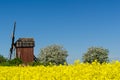 Old wooden windmill surrounded of beautiful spring season colors Royalty Free Stock Photo