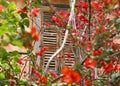 Old wooden window and blooming bougainvillea flowers at Nafplio Argolis Greece Royalty Free Stock Photo