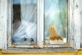 Old wooden window with decorative wooden cat Royalty Free Stock Photo