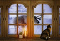 old wooden window, domestic cat looking at reindeer, candle burns on windowsill, houseplant succulent, winter landscape behind Royalty Free Stock Photo