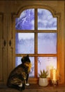 old wooden window, domestic cat sitting, candle burns on windowsill, houseplant succulent, winter landscape behind frosty glass, Royalty Free Stock Photo