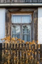 Old wooden window frame, wooden fence dried flowers, vintage old
