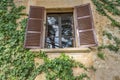 Old wooden window overgrown with ivy