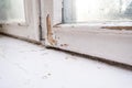 Old wooden window with peeling paint and durt needed to be repaired or replaced Royalty Free Stock Photo